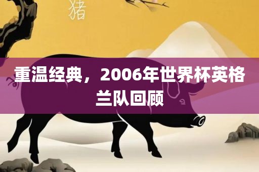 重温经典，200眉山市正发家政服务有限公司6年世界杯英格兰队回顾