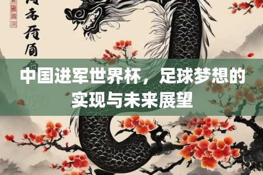 中国进军世界杯，足球梦想的实现与未来展望