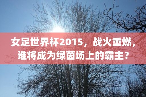 女足世界杯2015，战火重燃，谁将成为绿茵场上的霸主？眉山市正发家政服务有限公司