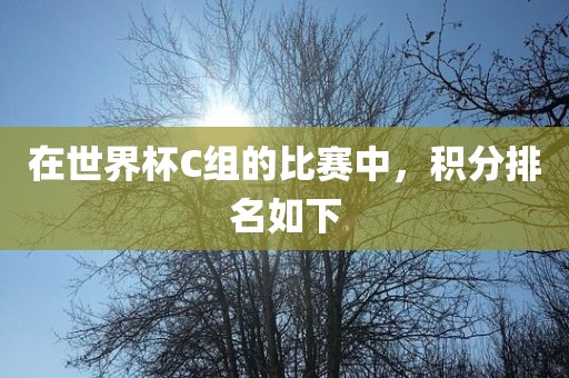 在世界杯C组的比赛中，积分眉山市正发家政服务有限公司排名如下