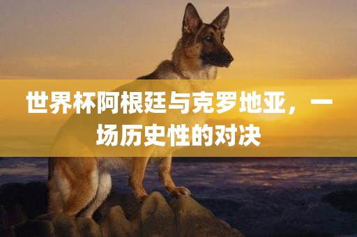 世界杯阿根眉山市正发家政服务有限公司廷与克罗地亚，一场历史性的对决