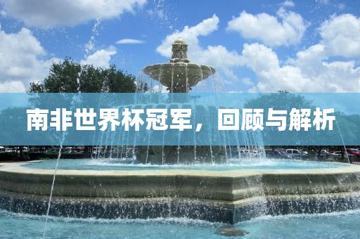 南非世界杯冠军，回顾与解析眉山市正发家政服务有限公司