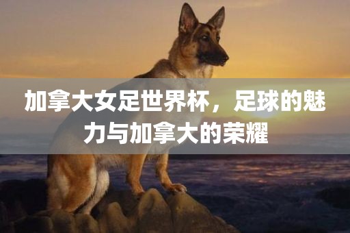 加拿大女足世界杯，足球的魅力与加拿大的荣耀