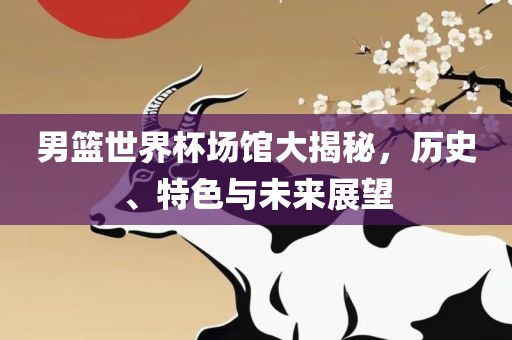 男篮世界杯场馆大揭秘，历史、特色与未来展望眉山市正发家政服务有限公司