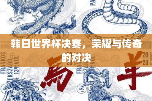 韩日世界杯决赛，荣耀与传奇的对决