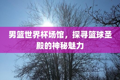 男篮世界杯场馆，探寻篮球圣殿的神秘魅力