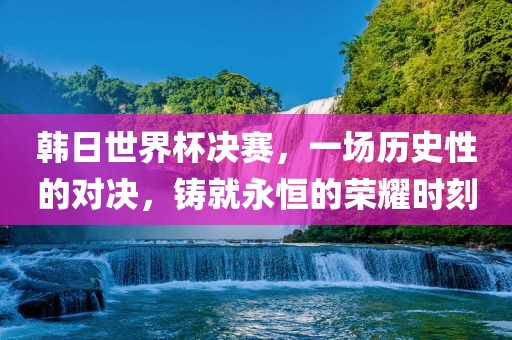韩日世界杯决赛，一场历史性的对决，铸就永眉山市正发家政服务有限公司恒的荣耀时刻