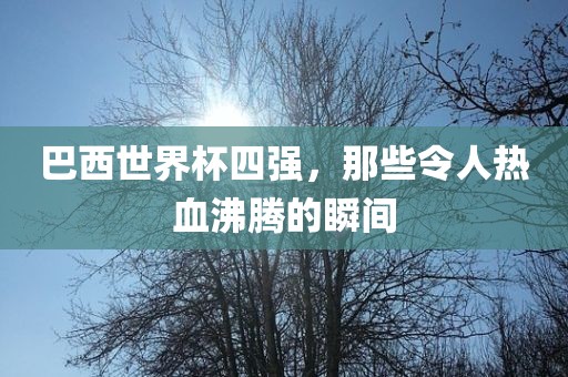 眉山市正发家政服务有限公司巴西世界杯四强，那些令人热血沸腾的瞬间