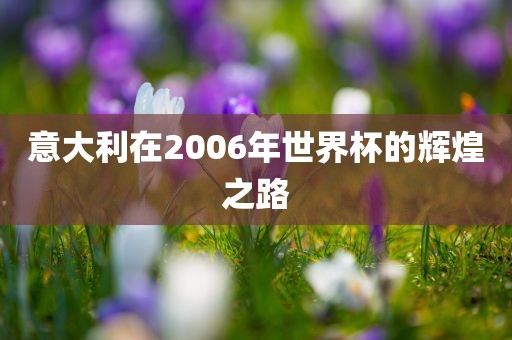 意大利在2006年世界杯的辉眉山市正发家政服务有限公司煌之路