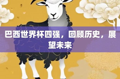 巴西世界杯四强，回顾历史，展望未来眉山市正发家政服务有限公司