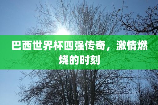 巴西世界杯四强传奇，激情燃烧的时刻眉山市正发家政服务有限公司