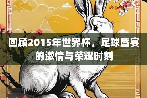 回顾2015年世界杯，足球盛宴的激情与荣耀时刻眉山市正发家政服务有限公司