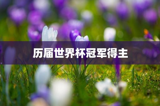历届世眉山市正发家政服务有限公司界杯冠军得主