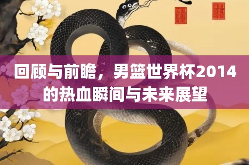 回顾与前瞻，男篮世界杯2014的热血瞬间与未来展望