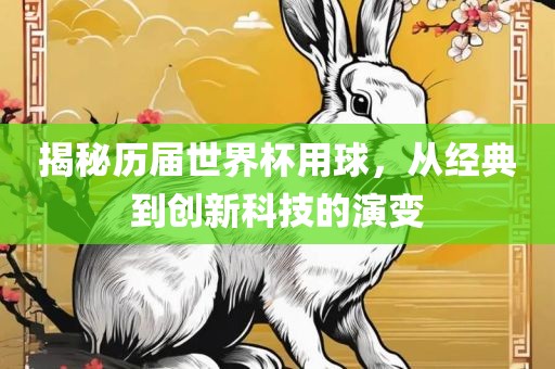 揭秘历届世界杯用球，从经典到创新科技的演变