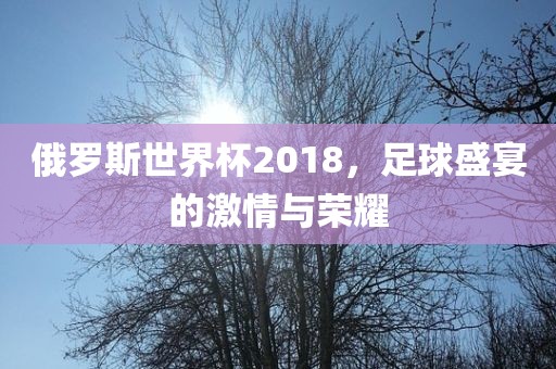 俄罗斯世界杯2018，足球盛宴的激情与荣耀眉山市正发家政服务有限公司
