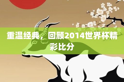 重温经典，回顾2014世界杯精彩比分