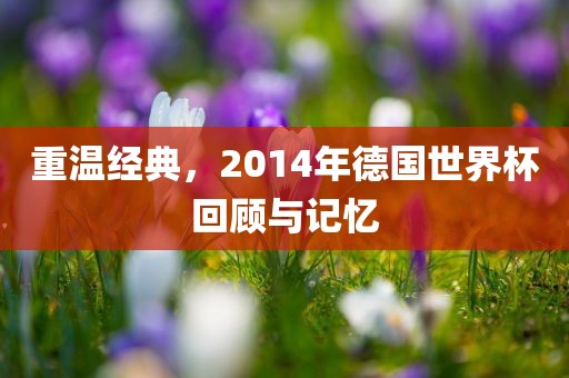 重温经典，2014年德国世界杯回顾与记忆