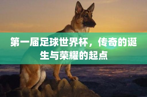 第一届足球世界杯，传奇的诞生与荣耀的起点眉山市正发家政服务有限公司