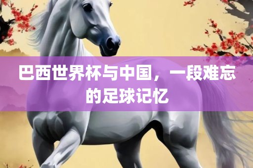 巴西世界杯与中国，一段难忘的足球记忆眉山市正发家政服务有限公司