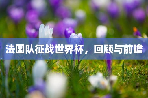 法国队征战世界杯，回顾与前瞻