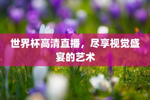 世界杯高清直播，尽享视觉盛宴的艺术