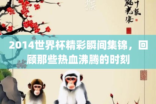 2014世界杯精彩瞬间集锦，回顾那些热血沸腾的时刻