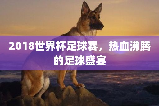 2018世界杯足球赛，热血沸腾的足球盛宴眉山市正发家政服务有限公司