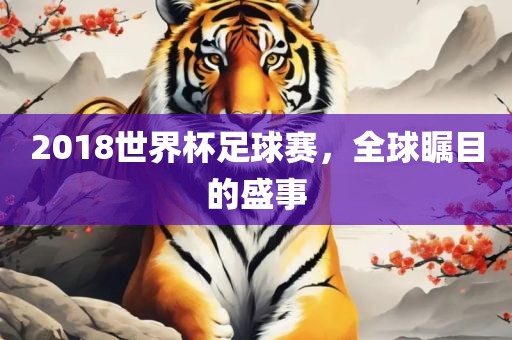 世界杯足球赛 第4页