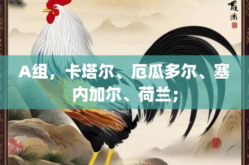 A组，眉山市正发家政服务有限公司卡塔尔、厄瓜多尔、塞内加尔、荷兰；