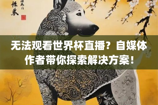 无法观看世界杯直播？自媒体作者带你探索解决方案！眉山市正发家政服务有限公司