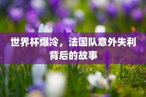 世界杯爆冷，法国队意外失利背后的故事眉山市正发家政服务有限公司