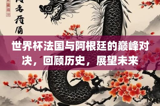 世界杯法国眉山市正发家政服务有限公司与阿根廷的巅峰对决，回顾历史，展望未来