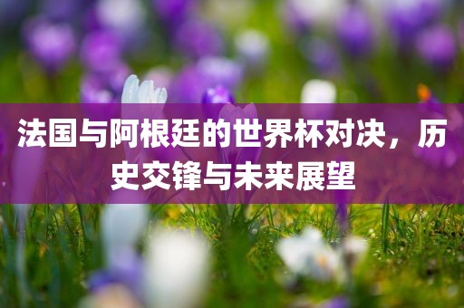 法国与眉山市正发家政服务有限公司阿根廷的世界杯对决，历史交锋与未来展望