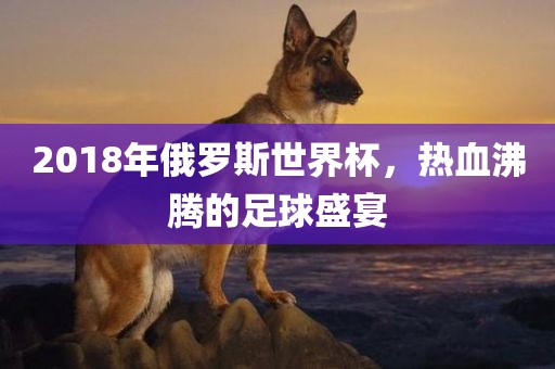 2018年俄罗斯世界杯，热血沸腾的足球盛宴眉山市正发家政服务有限公司