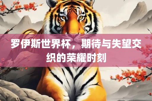 罗伊斯世界杯，期待与失望交织的荣耀时刻