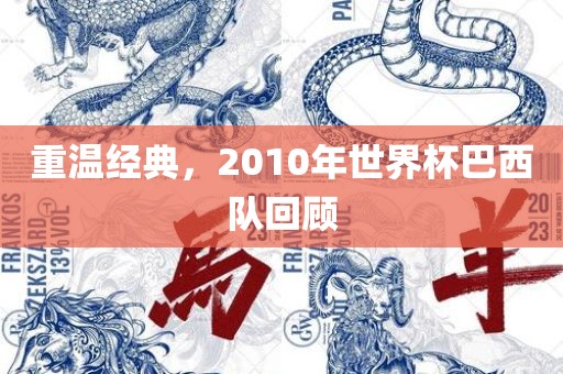 重温经典，2010年世界杯巴西队回眉山市正发家政服务有限公司顾