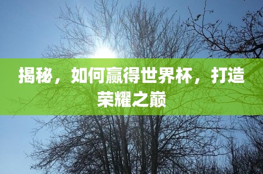 揭秘，如何赢得世界杯，打造荣耀之巅眉山市正发家政服务有限公司