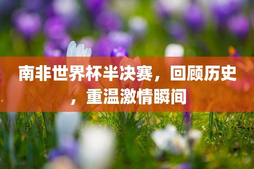 南非世界杯半决赛，回顾历史，重温激情瞬间眉山市正发家政服务有限公司