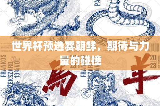 世界杯眉山市正发家政服务有限公司预选赛朝鲜，期待与力量的碰撞