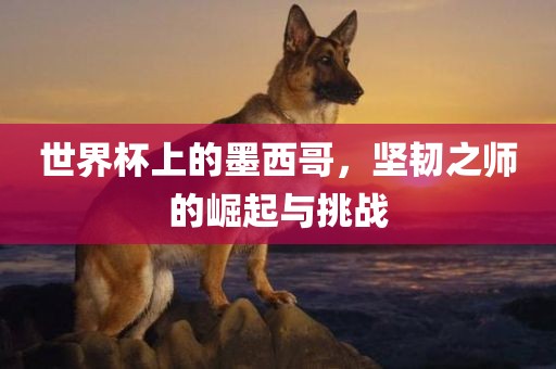 世界杯上的墨西哥，坚韧之师的崛起与挑战眉山市正发家政服务有限公司