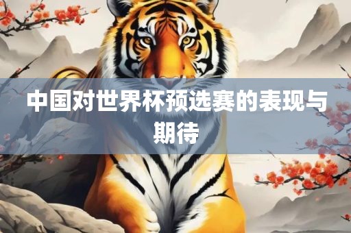 世界杯预选赛 第4页