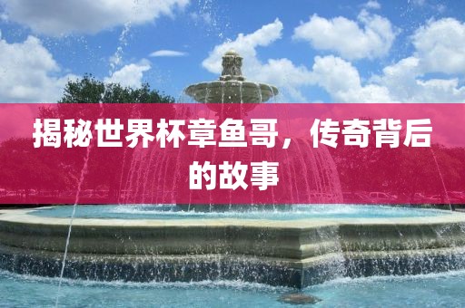 揭秘世界杯章鱼哥，传奇背后的故事