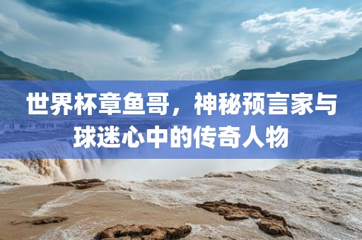 世界杯章鱼哥，神秘预言家与球迷心中的传奇人物