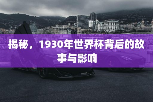 世界杯历史 第4页