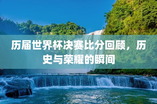 历届世界杯决赛比分回顾，历史与荣耀的瞬间眉山市正发家政服务有限公司