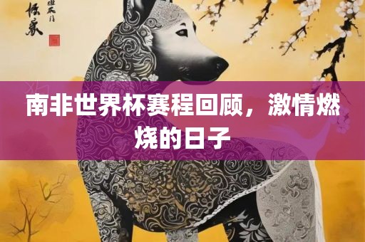 南非世界杯赛程回顾，激情燃烧的日子
