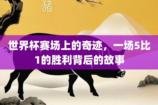 世界杯赛场上的奇迹，一场5比1的胜利背后的故事眉山市正发家政服务有限公司
