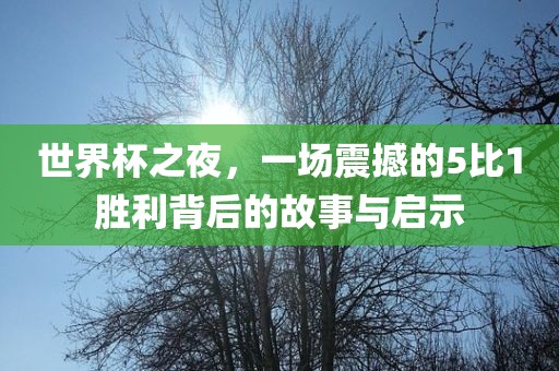 世界杯之夜，一场震撼的5比1胜利背后的故事与启示