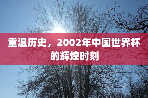 重温历史，2002年中国世界杯的辉煌时刻眉山市正发家政服务有限公司